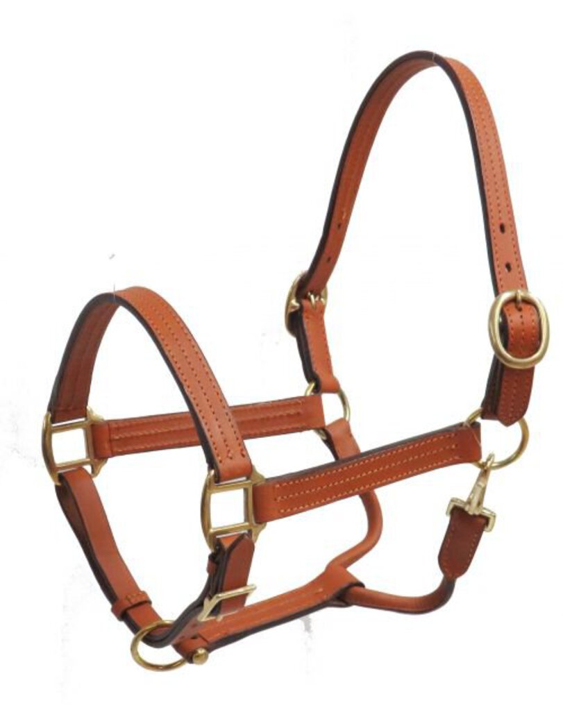Leather halter