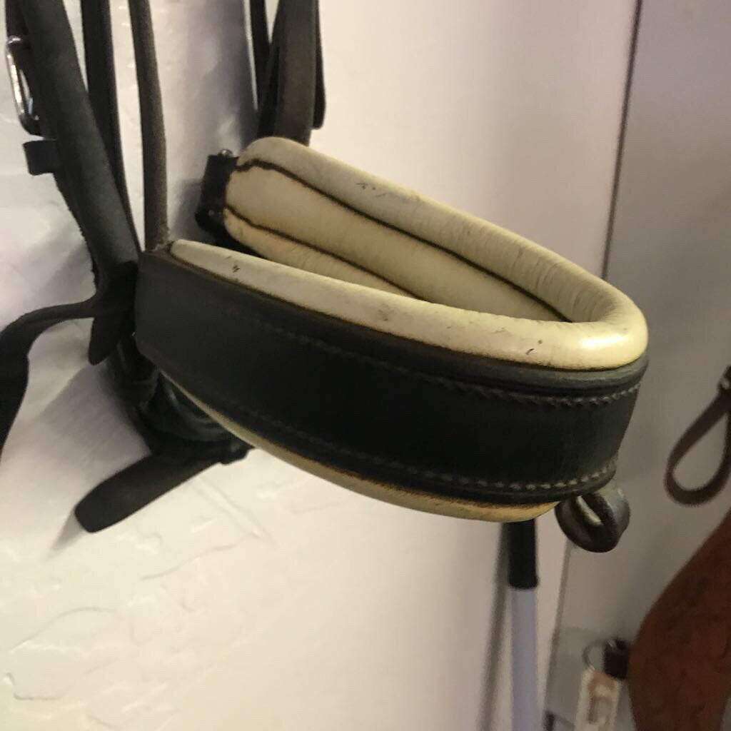 Dressage Bridle Dressage Bridle