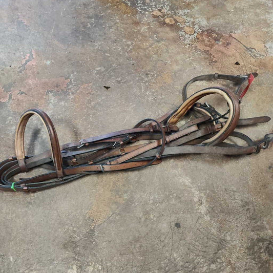 English Bridle Brown Padded Bridle W/ Re