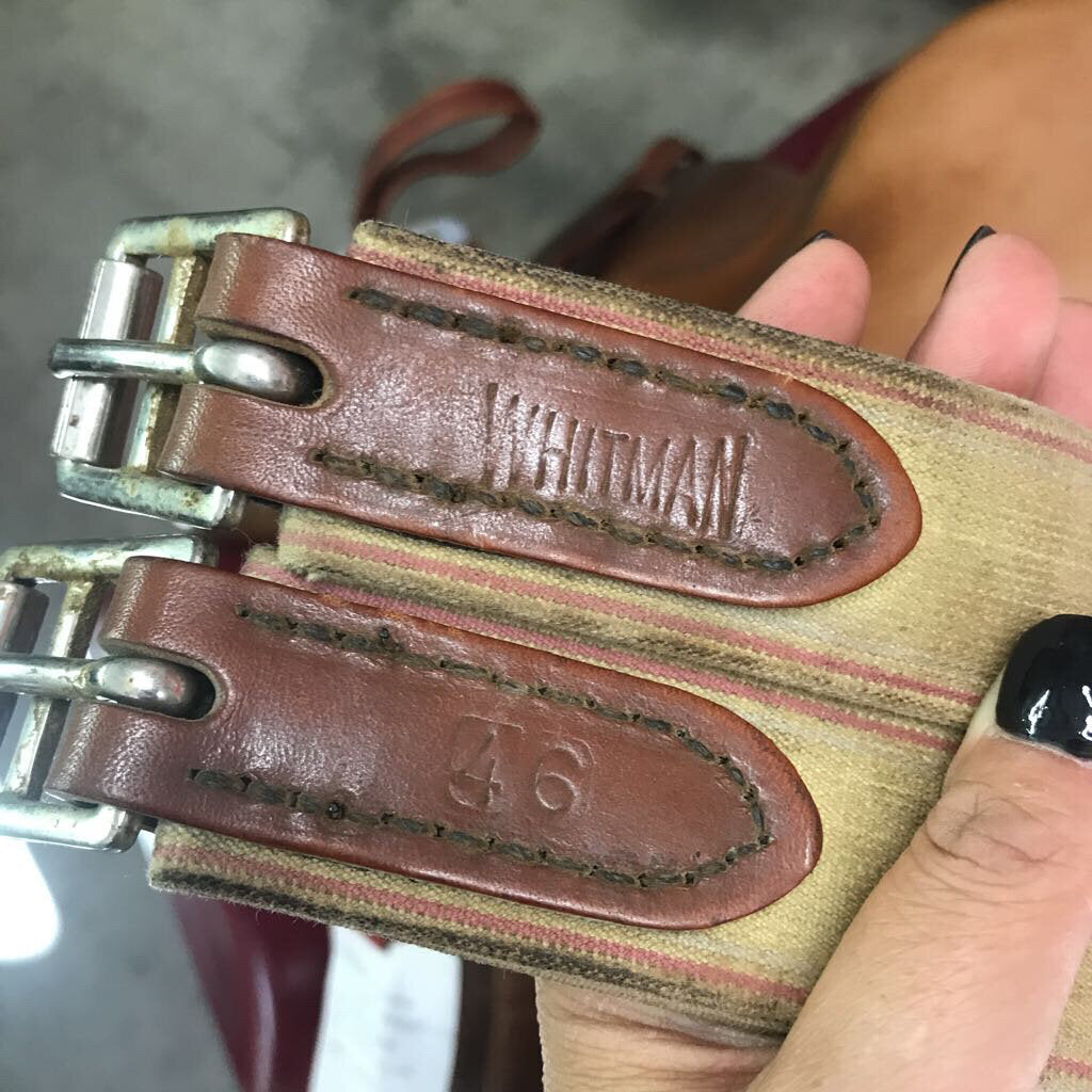 Saddle Jumping CWD SET