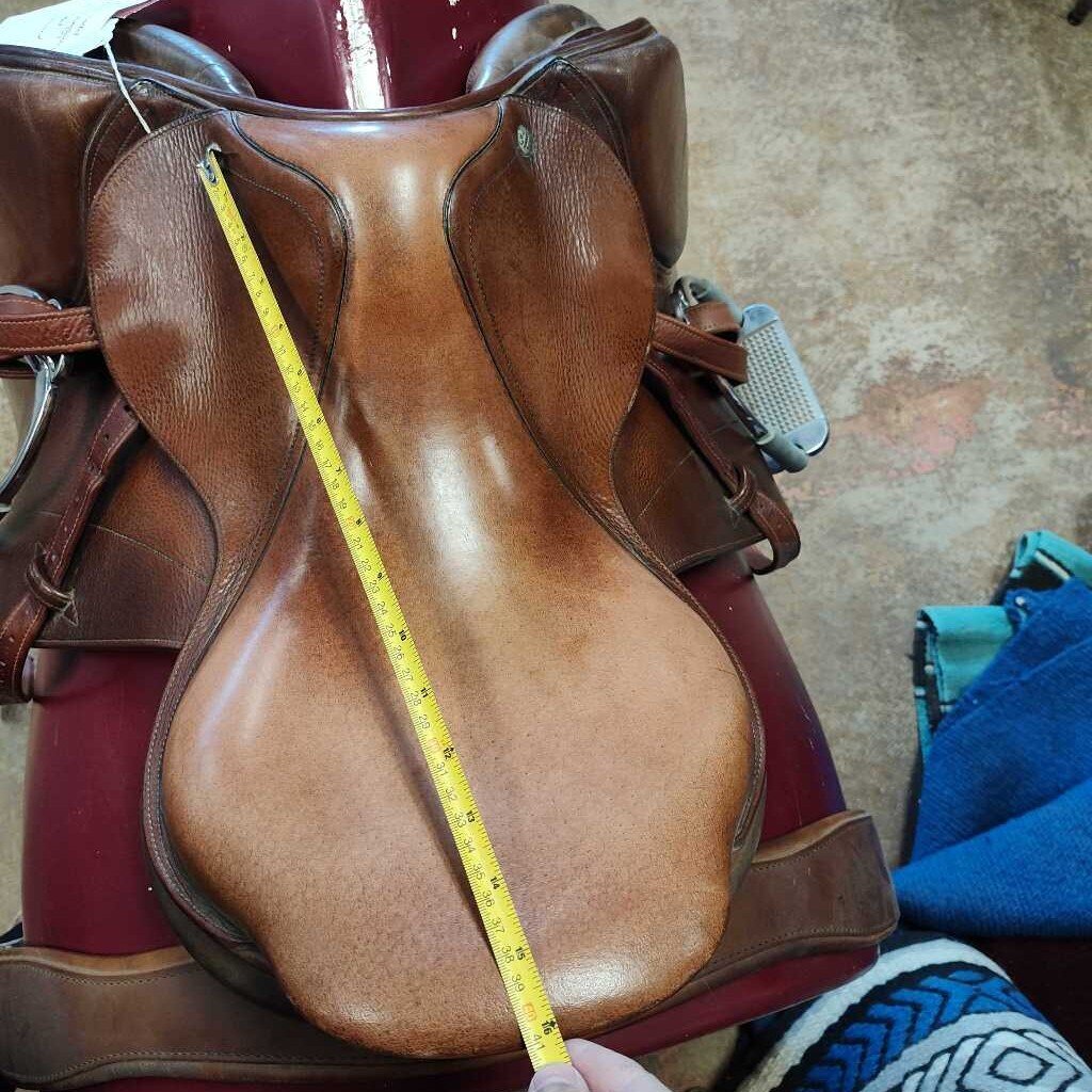 Saddle Jumping CWD SET
