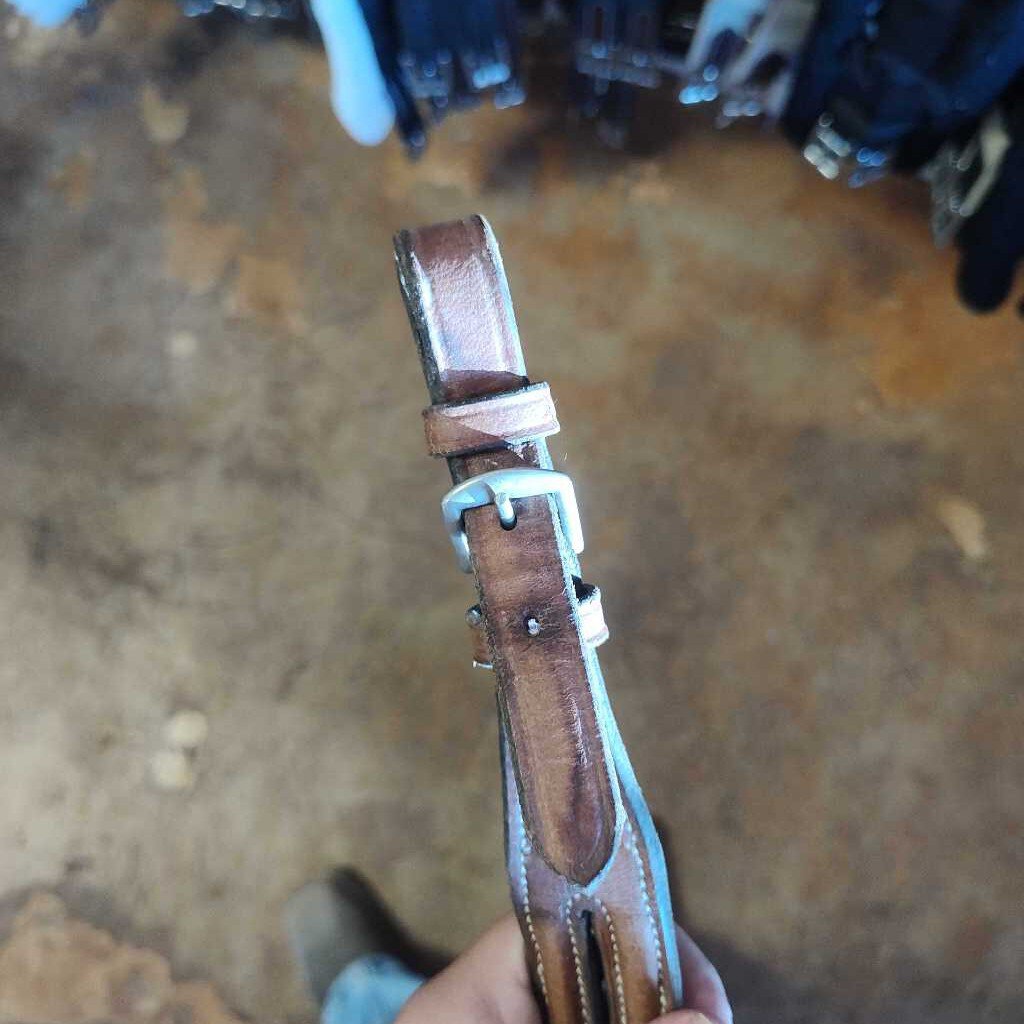 Running Martingale- Fan