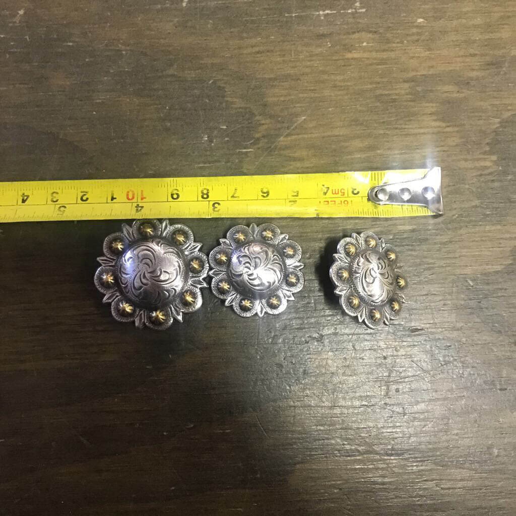 Conchos Horse Shoe (6)