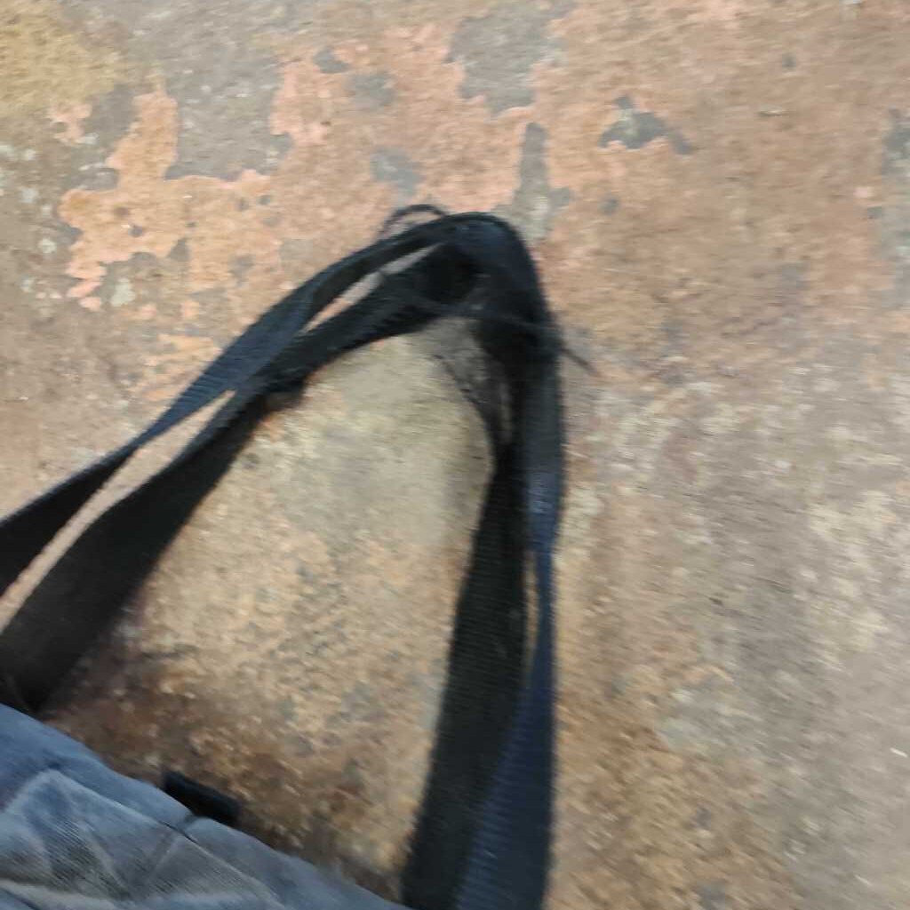 Padded- halter/ bridle bag