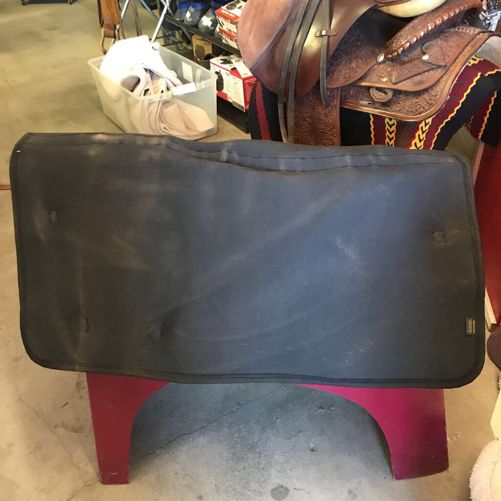 Trainng pad- horse back pad