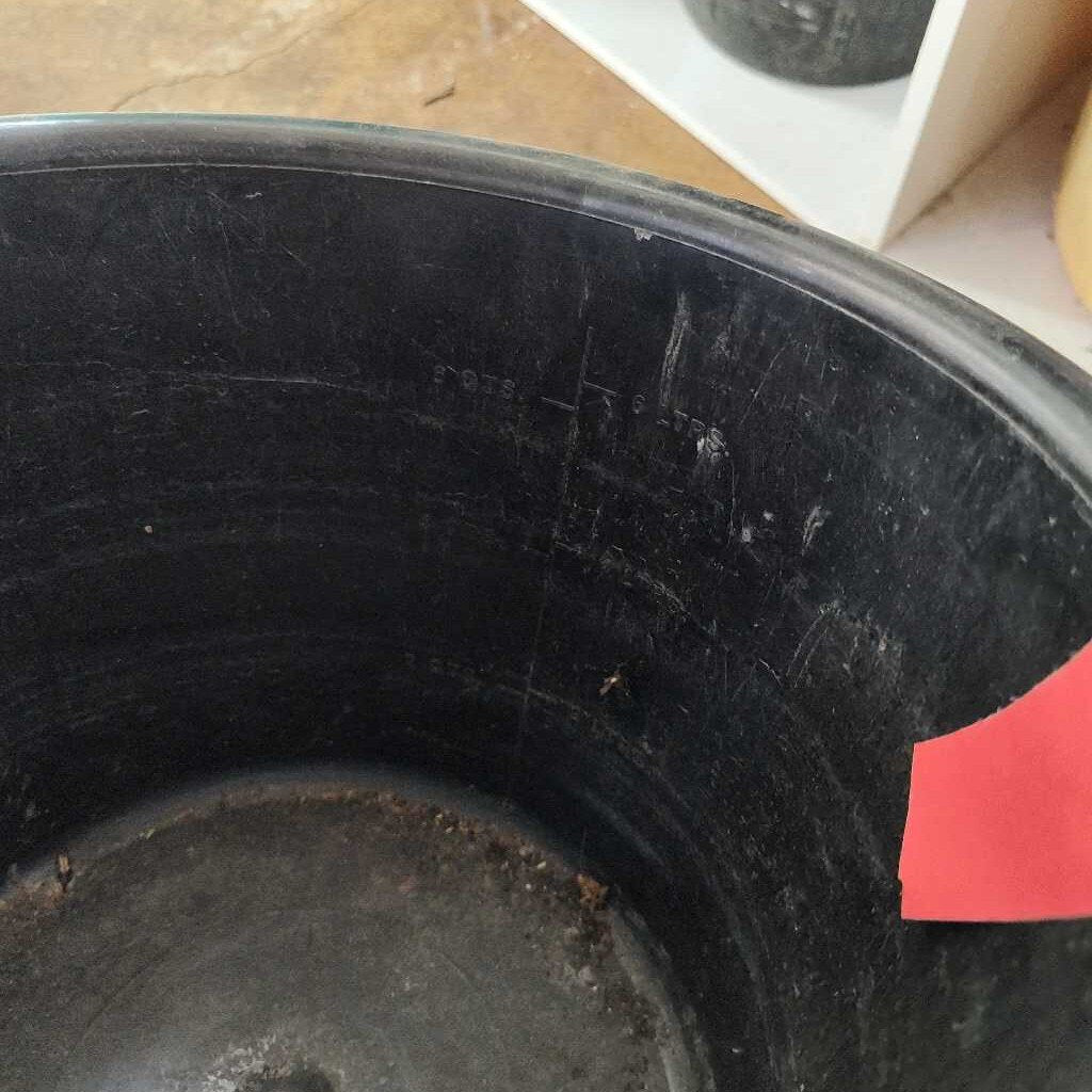 Feed buckets