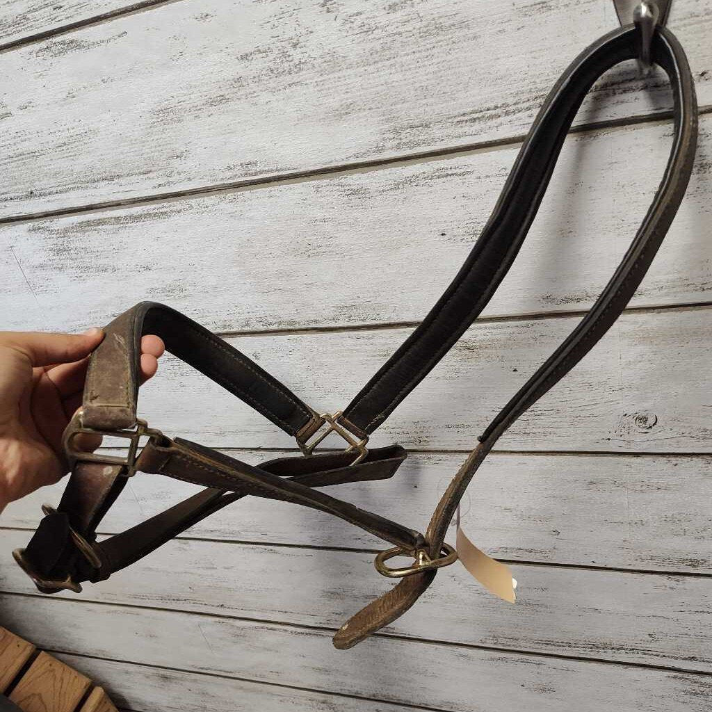 Leather grooming halter