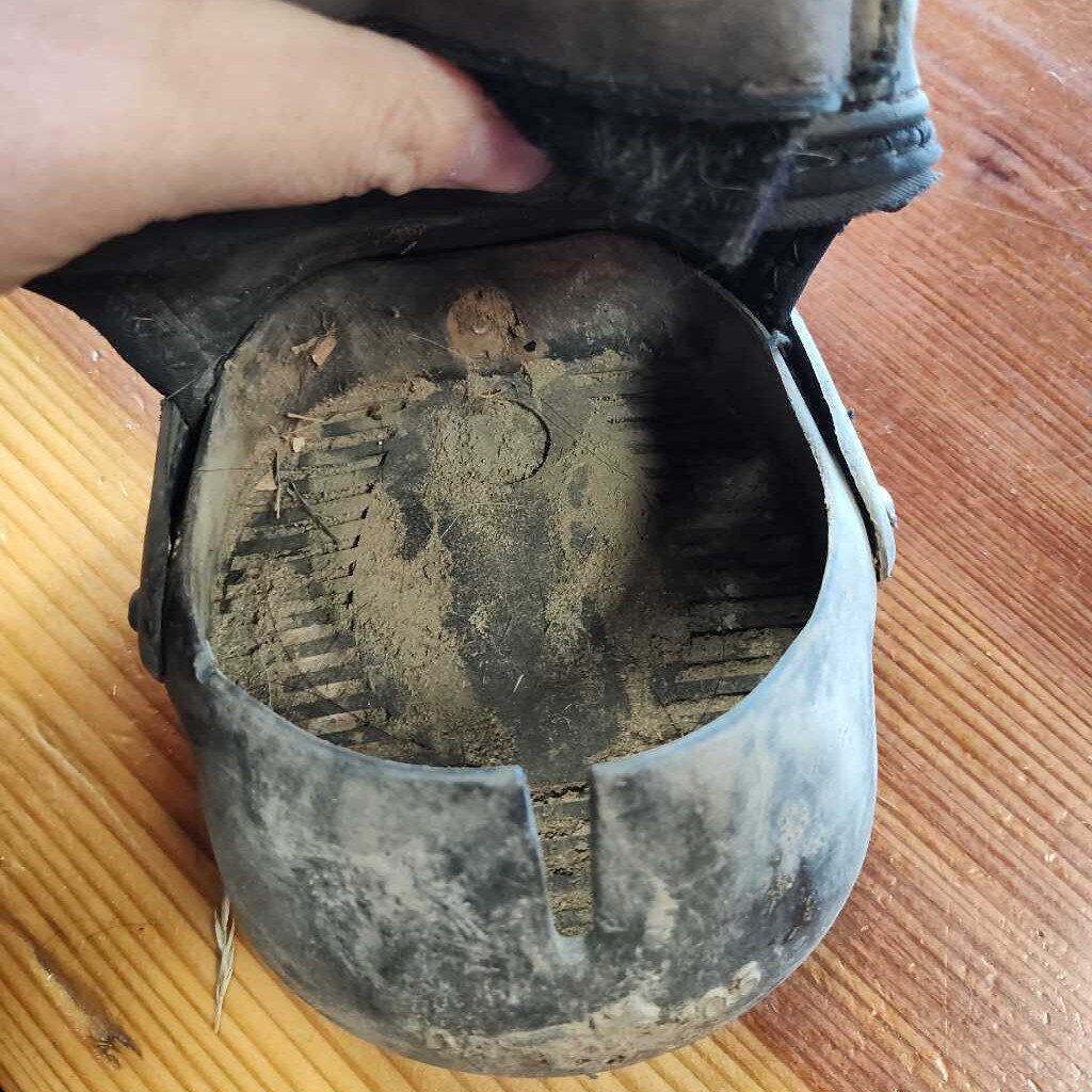 Hoof boot