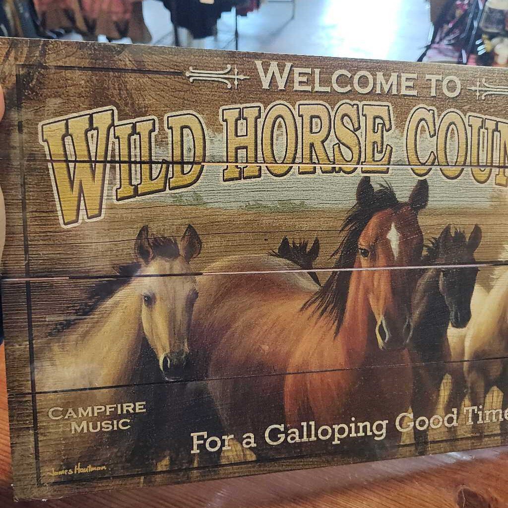 Wild horse country