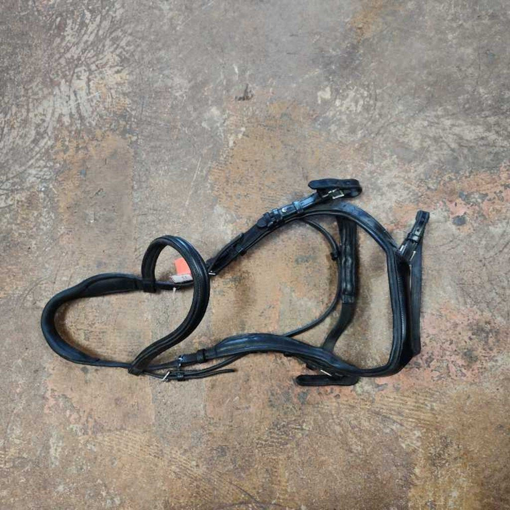 Anatomical Bridle
