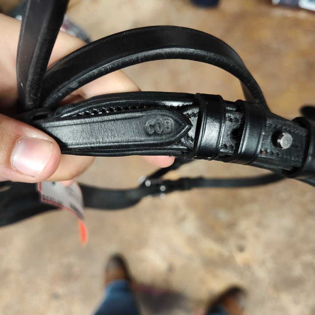 Anatomical Bridle