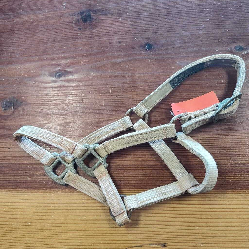 Yearling