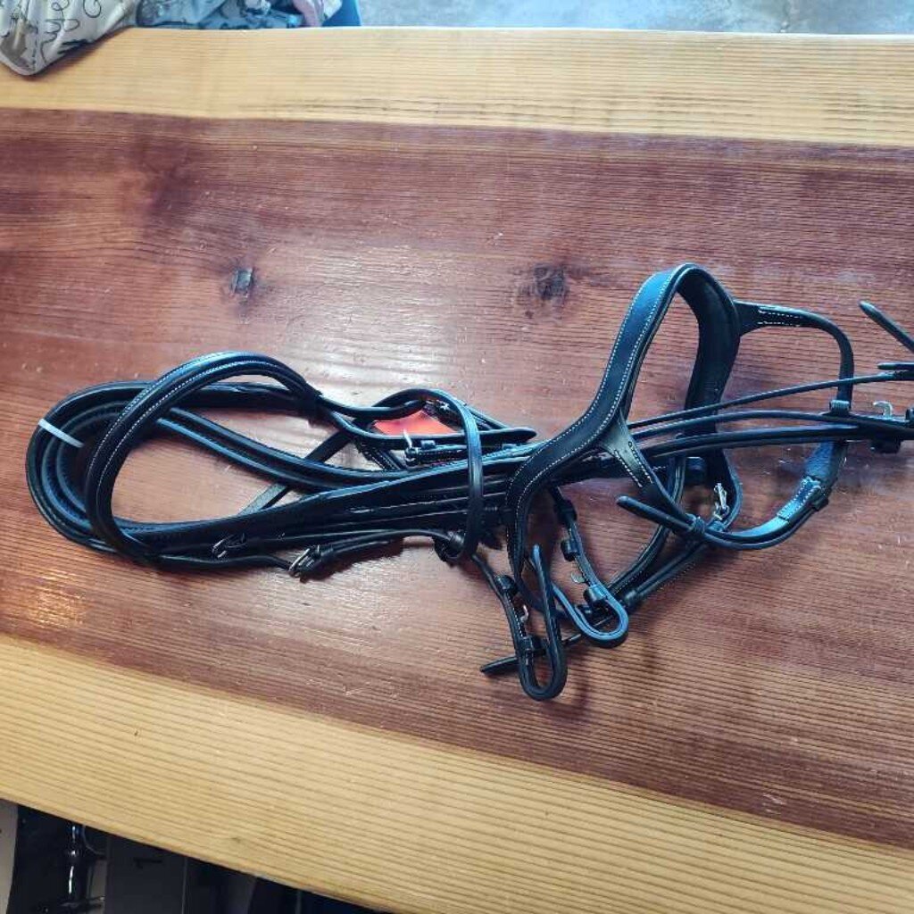 Anatomical Bridle
