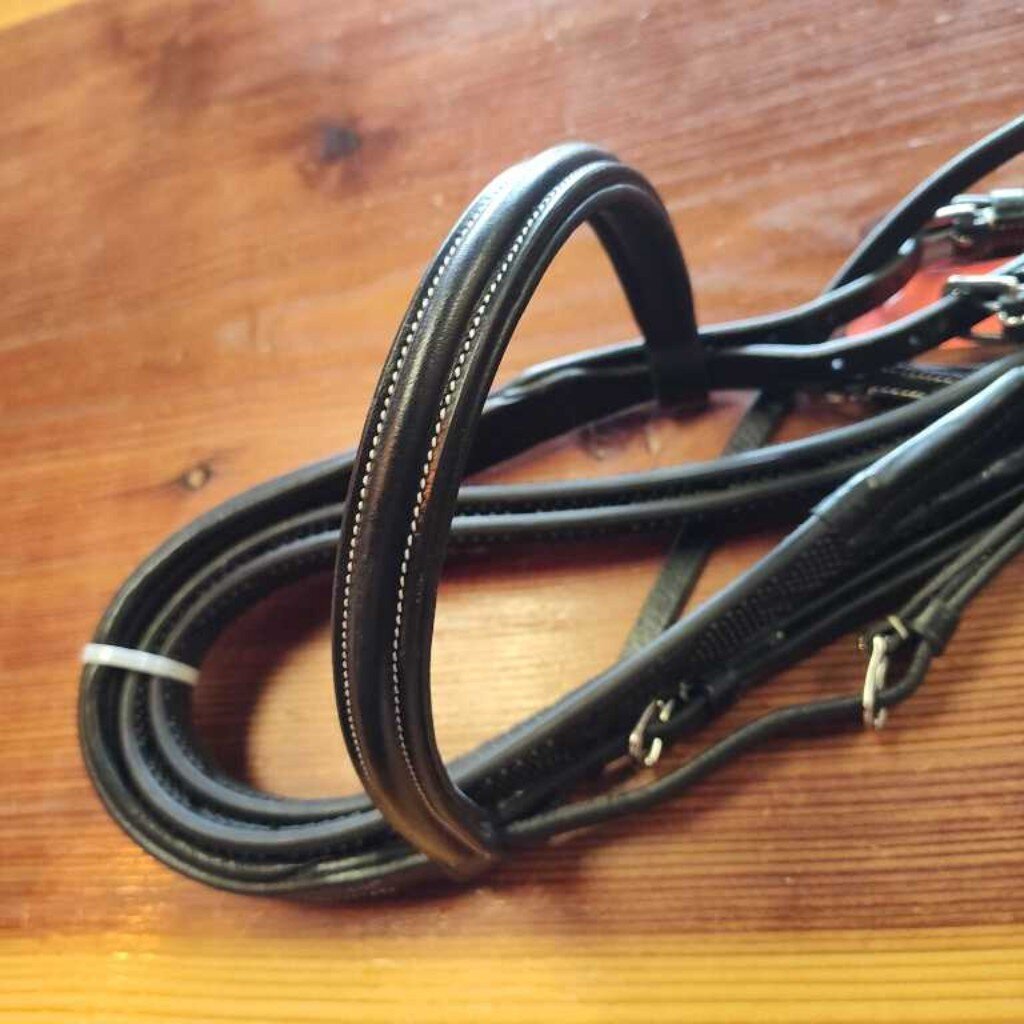 Anatomical Bridle
