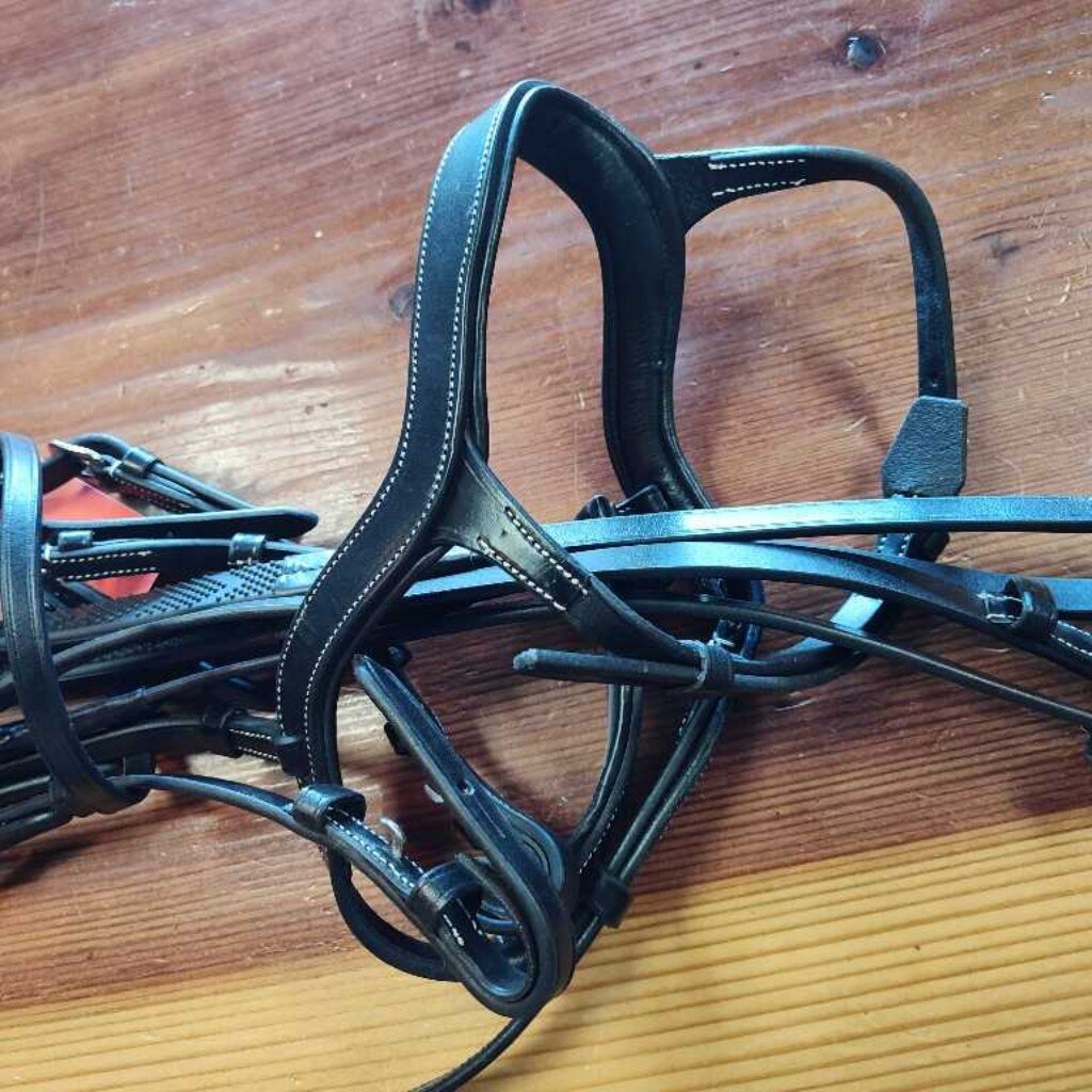 Anatomical Bridle