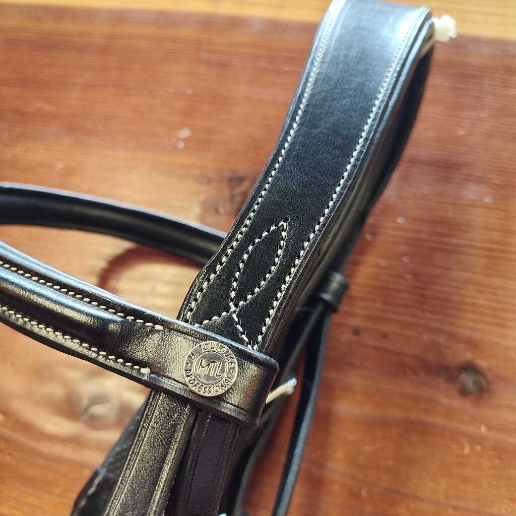 Anatomical Bridle