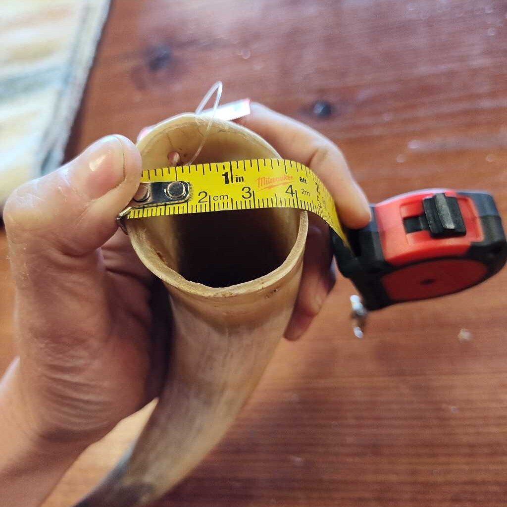 Cow horn