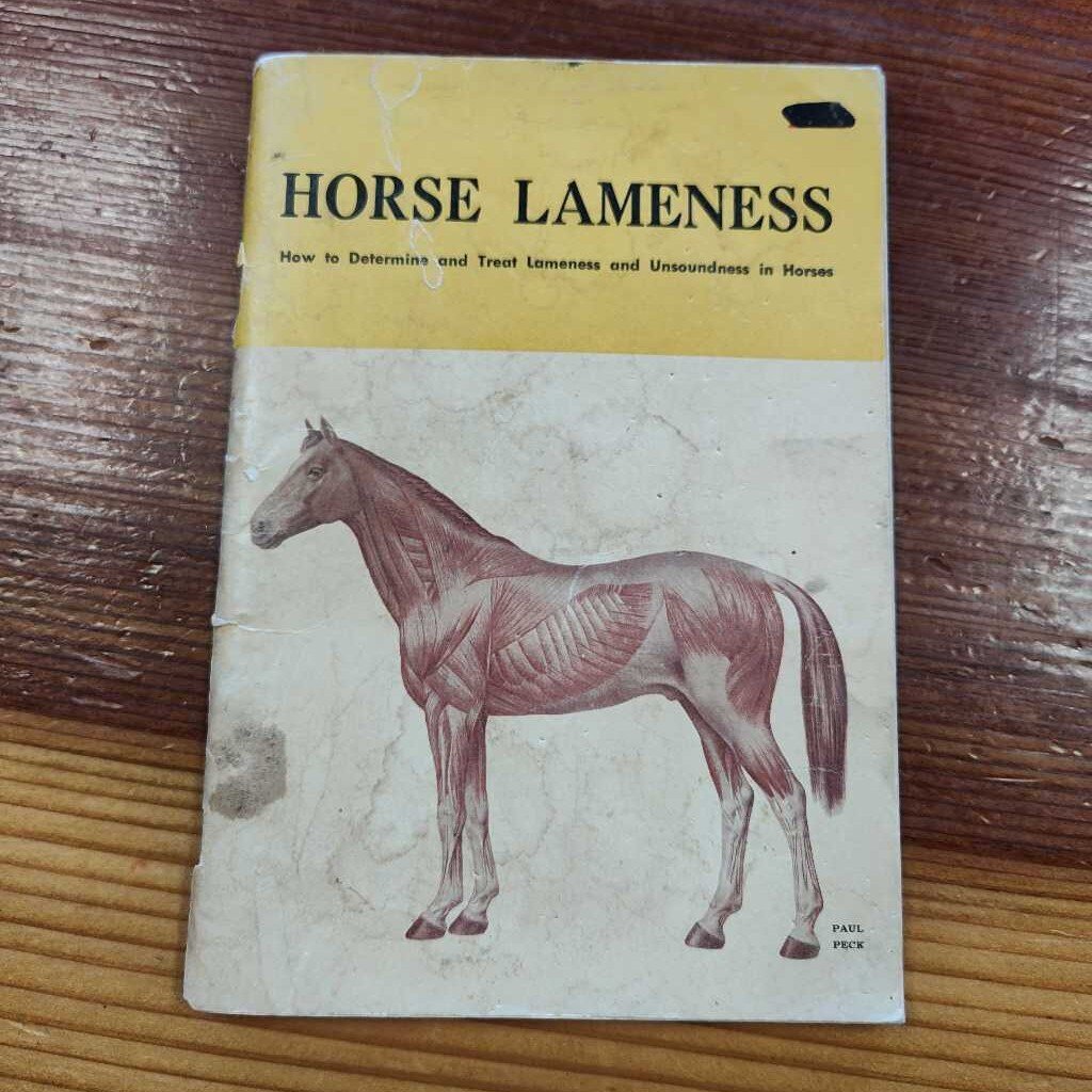 Horse lameness