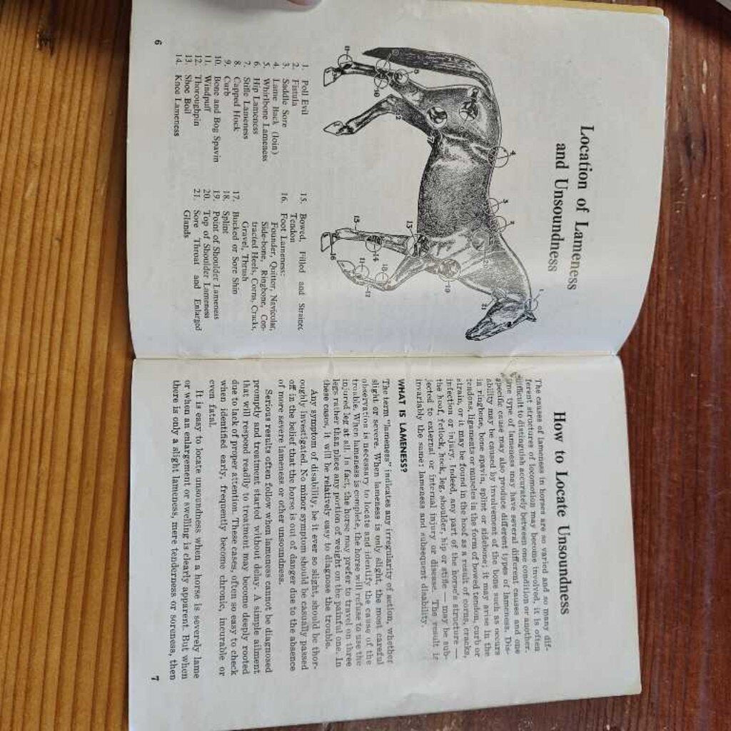 Horse lameness