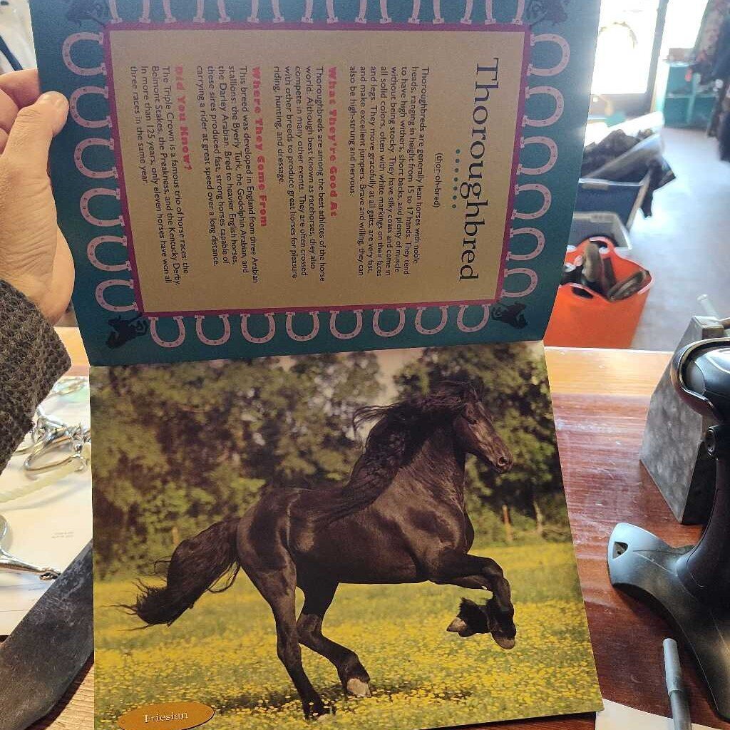 Horse breeds poster book