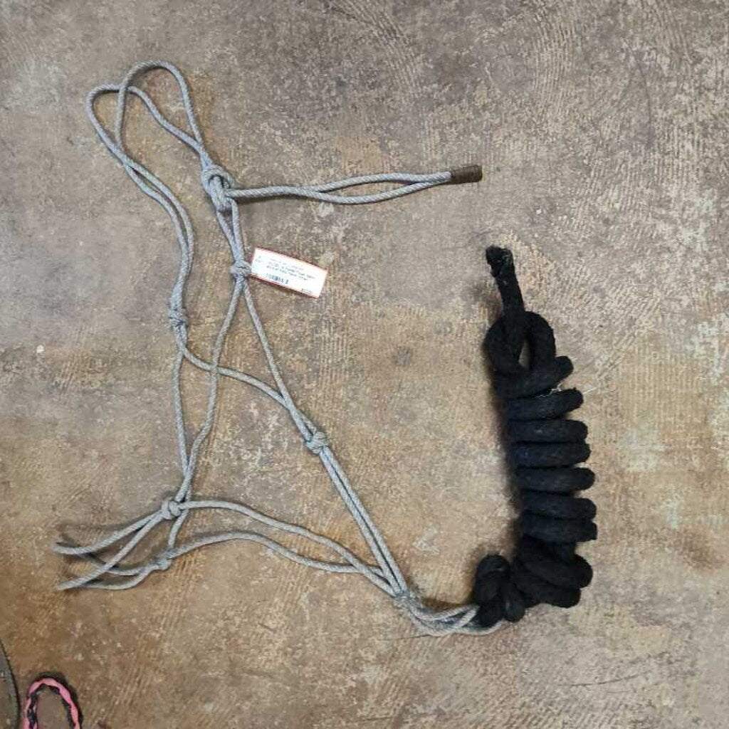 Rope halter and lead