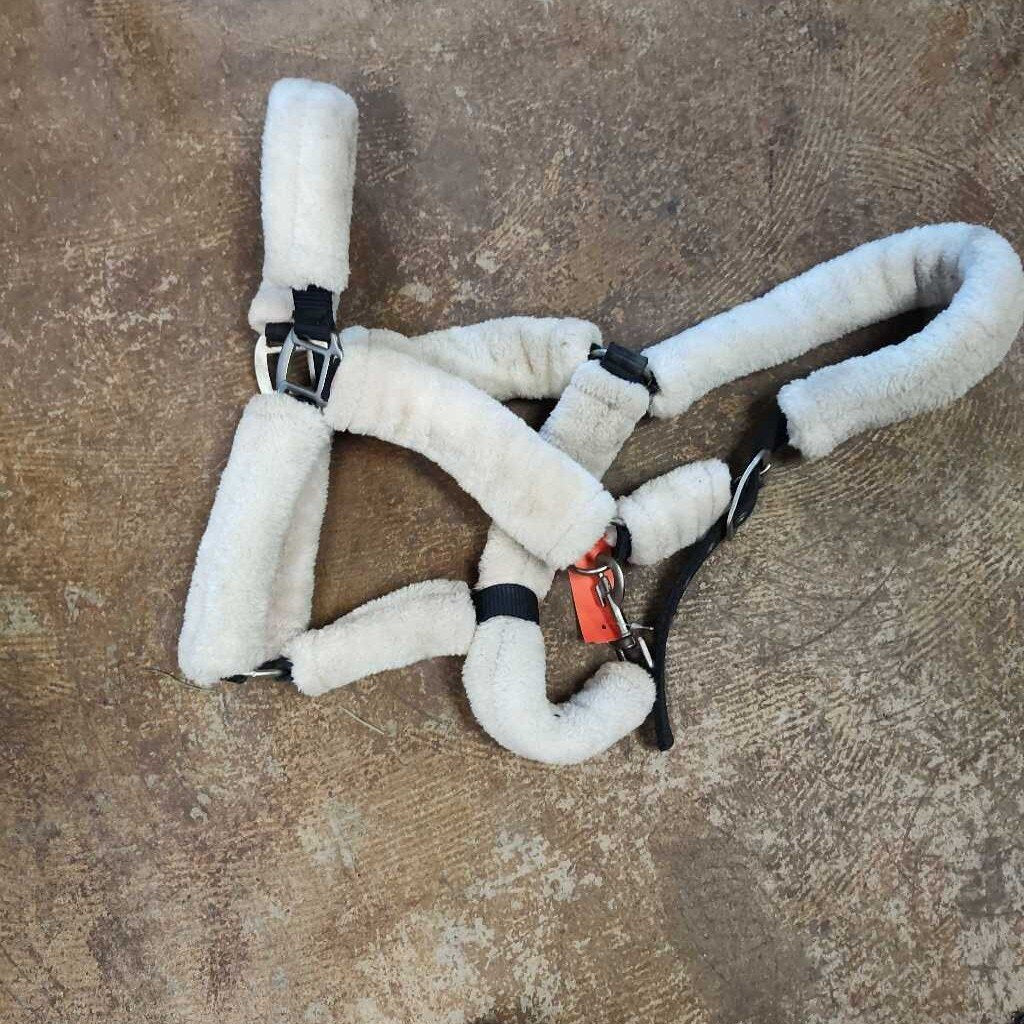 Nylon shipping halter