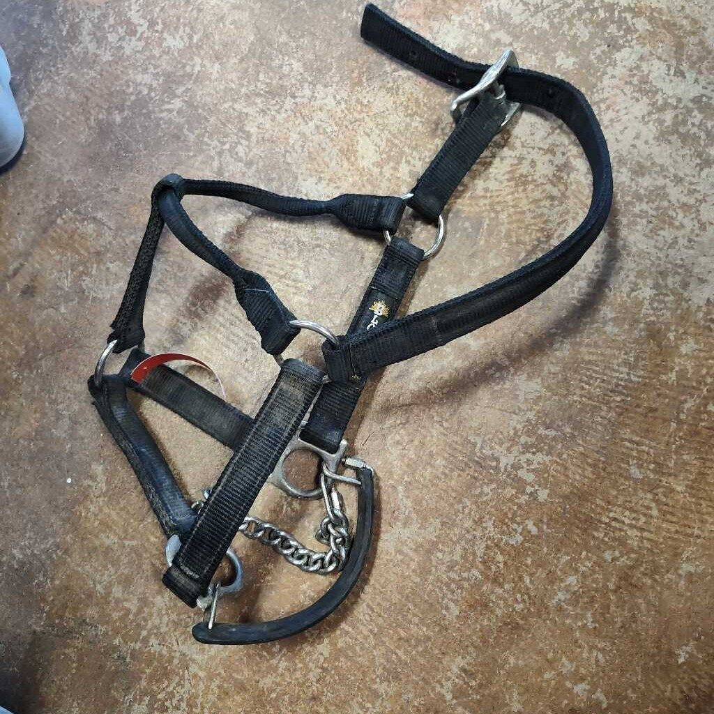 Nylon correction halter