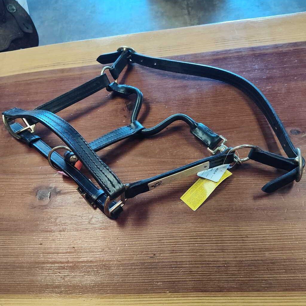 Champion show halter
