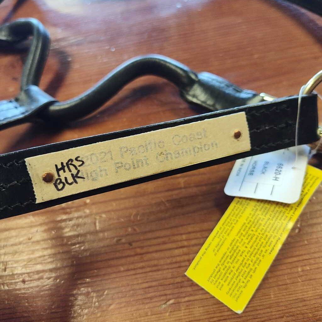 Champion show halter