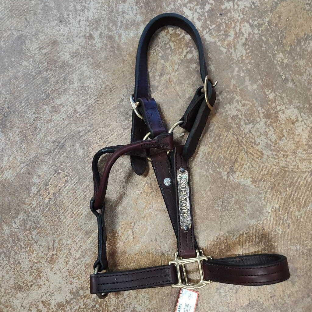 Leather (Champion)