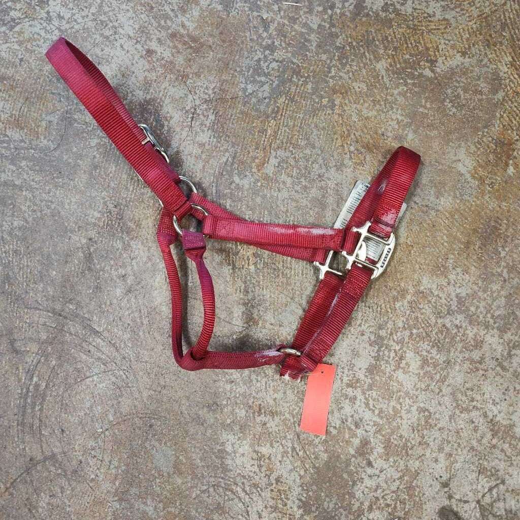 Nylon halter