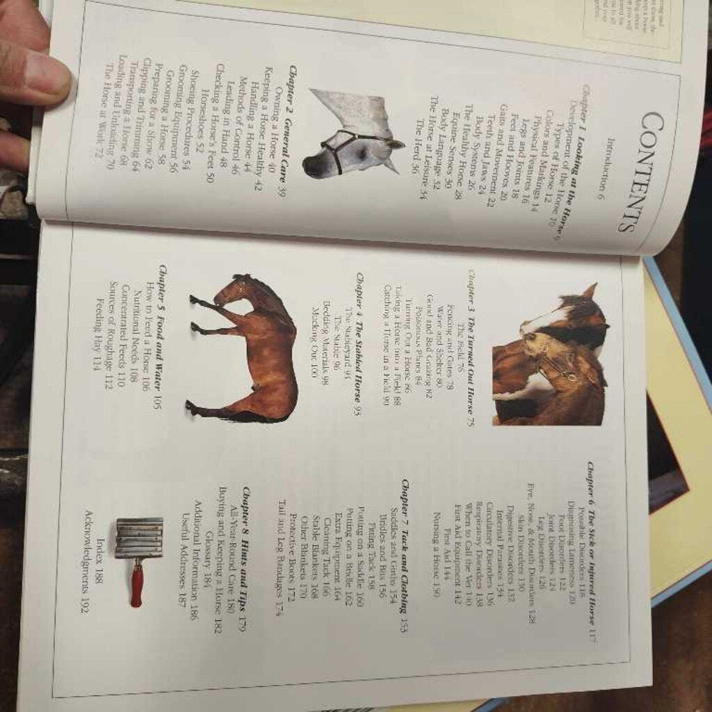Horse Care