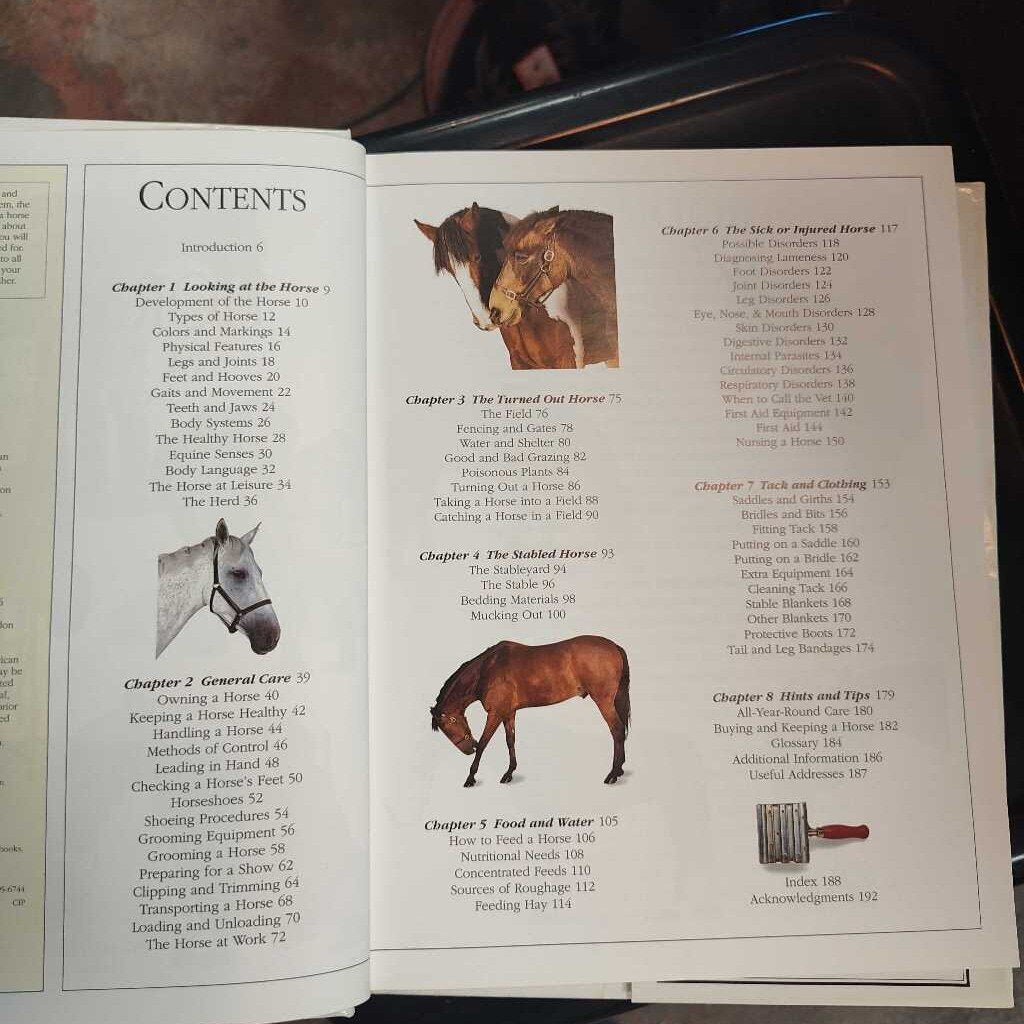 Horse Care