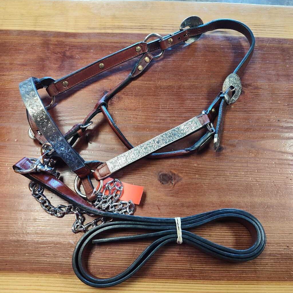 Show halter and lead