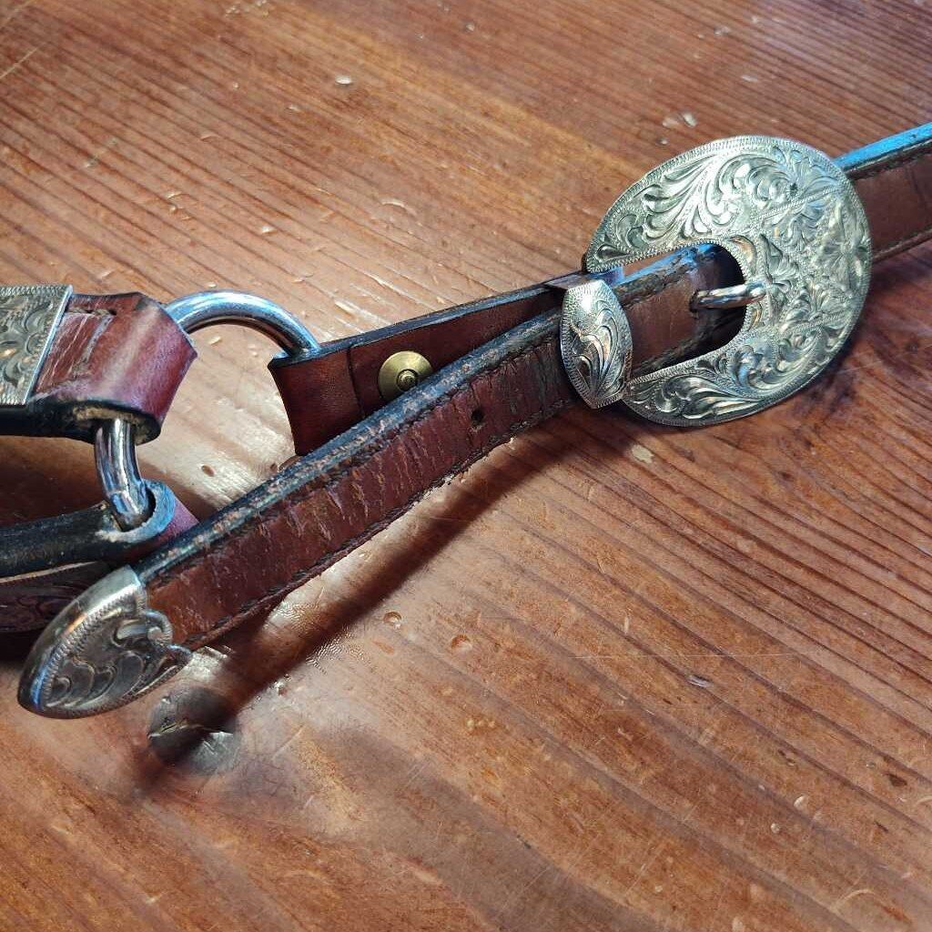 Show halter and lead