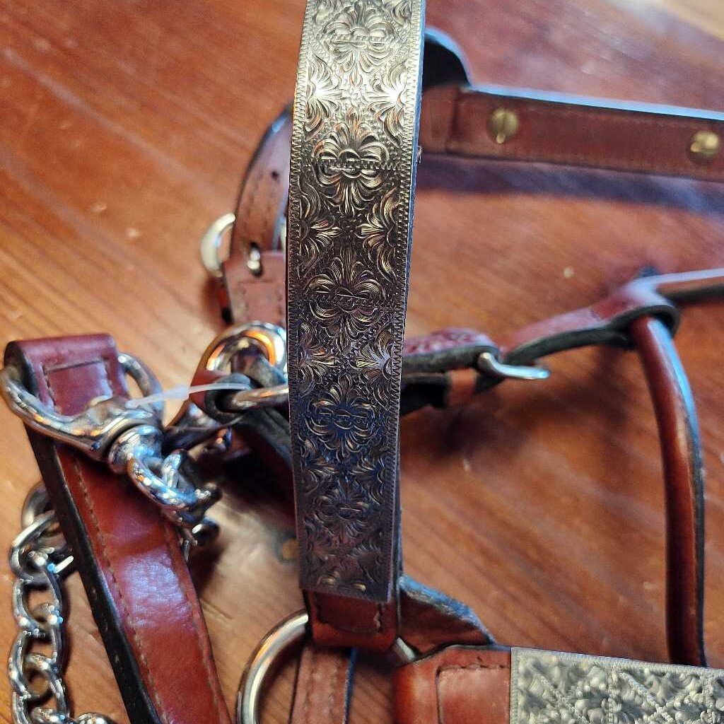 Show halter and lead