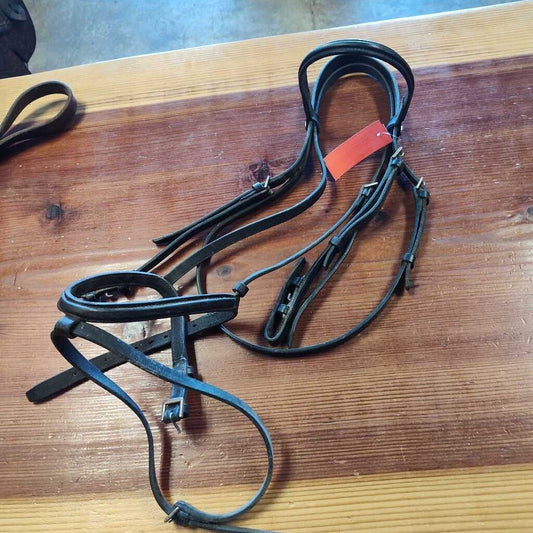 English Bridle- raised with flash