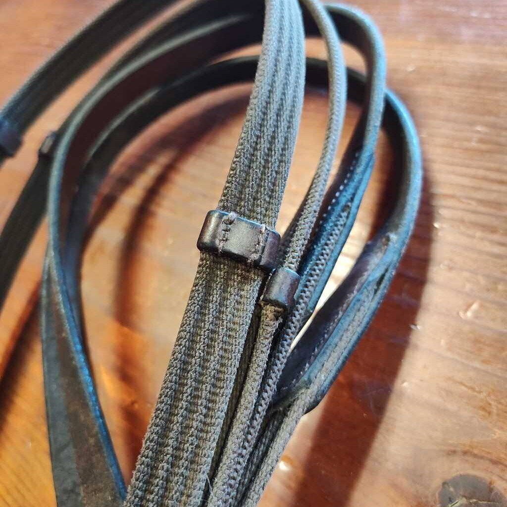 Webbed reins