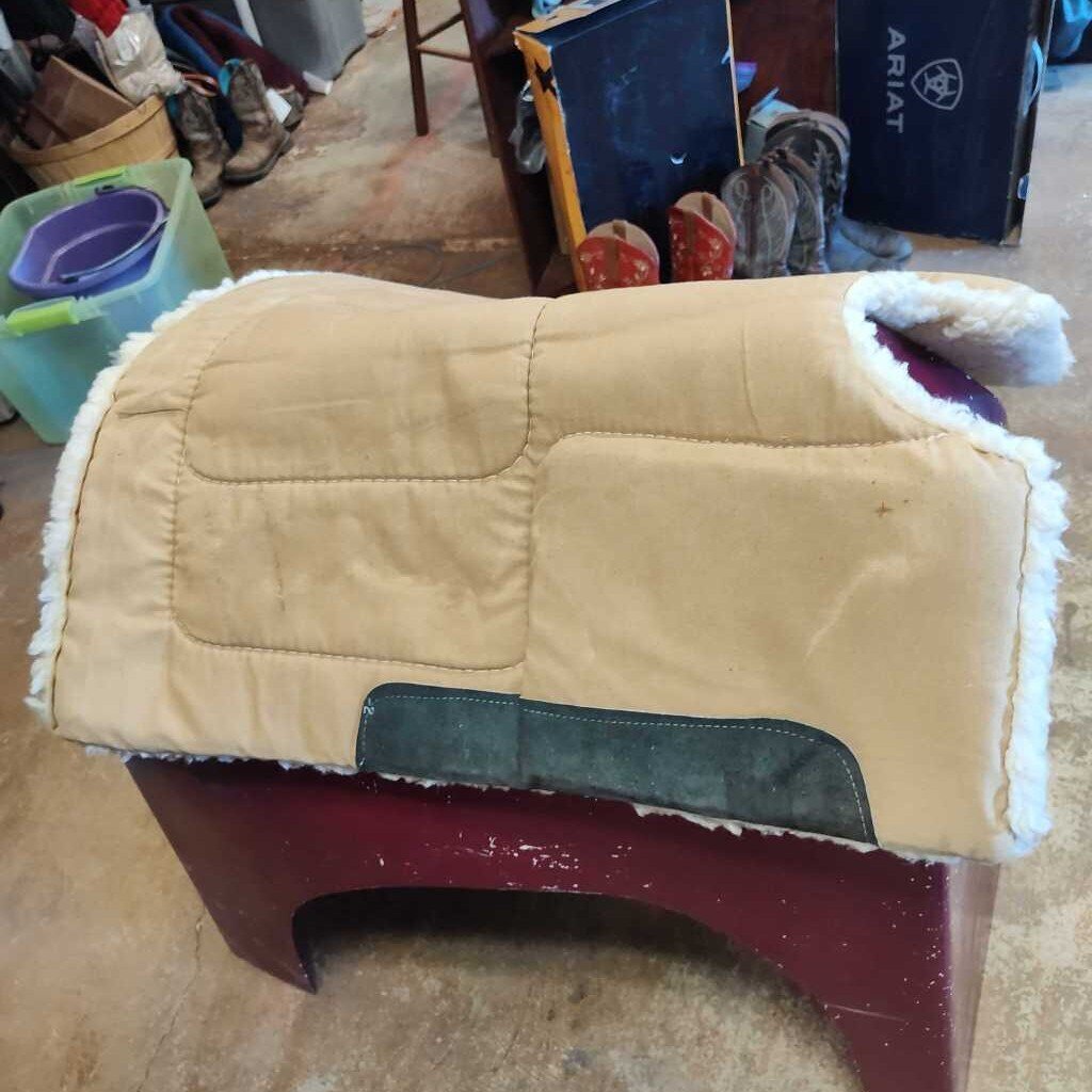 Older cut back with build up