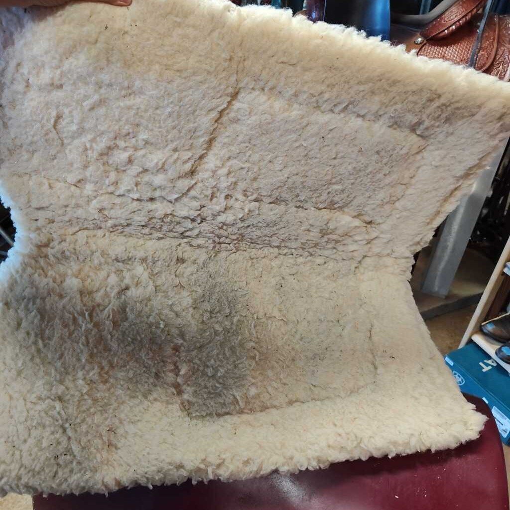Older cut back with build up