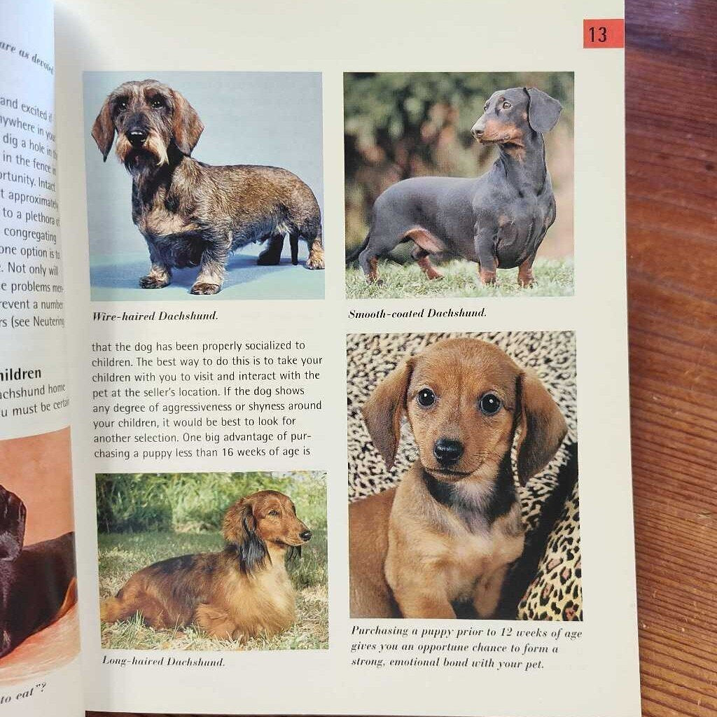 Dachshunds