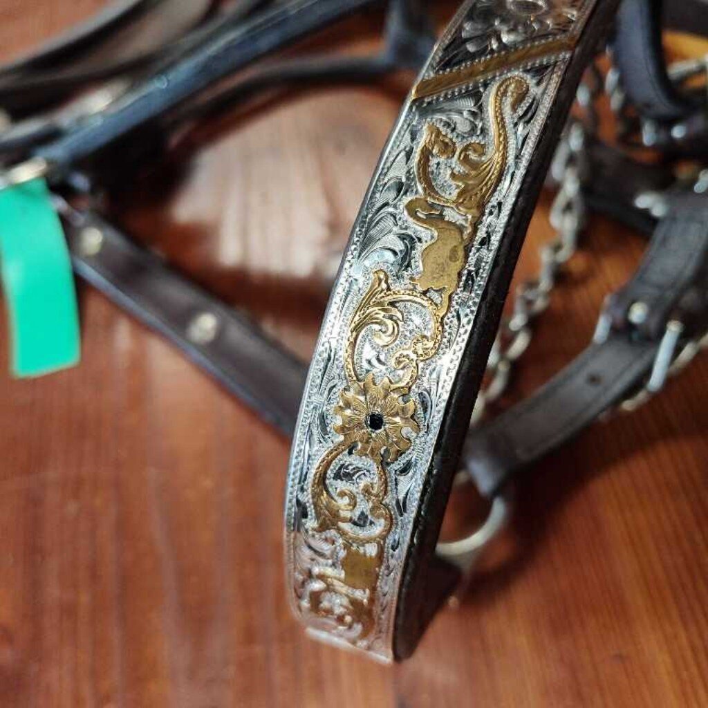 Beautiful Show halter