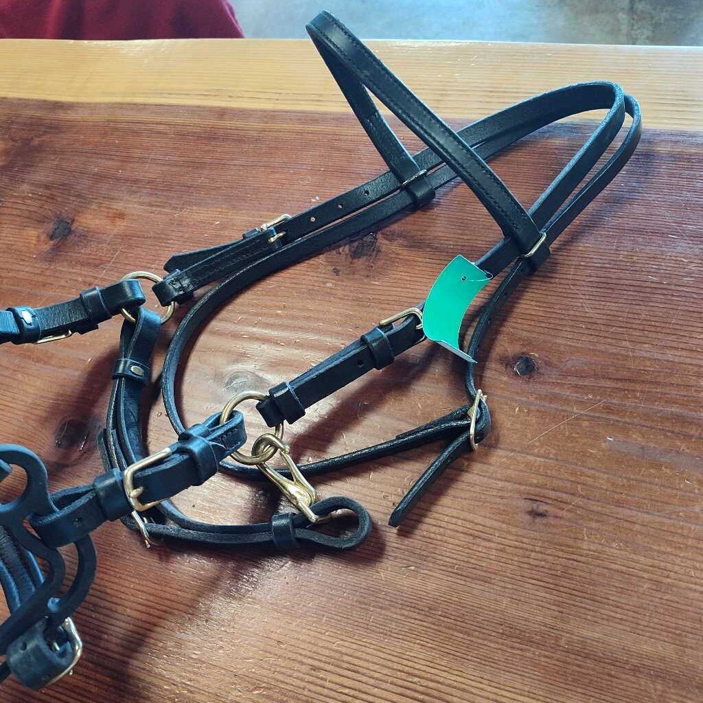 Bridle/ hackamore