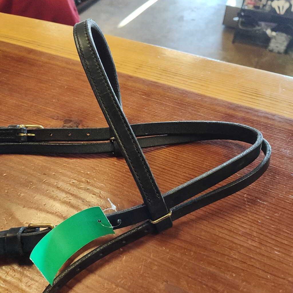 Bridle/ hackamore