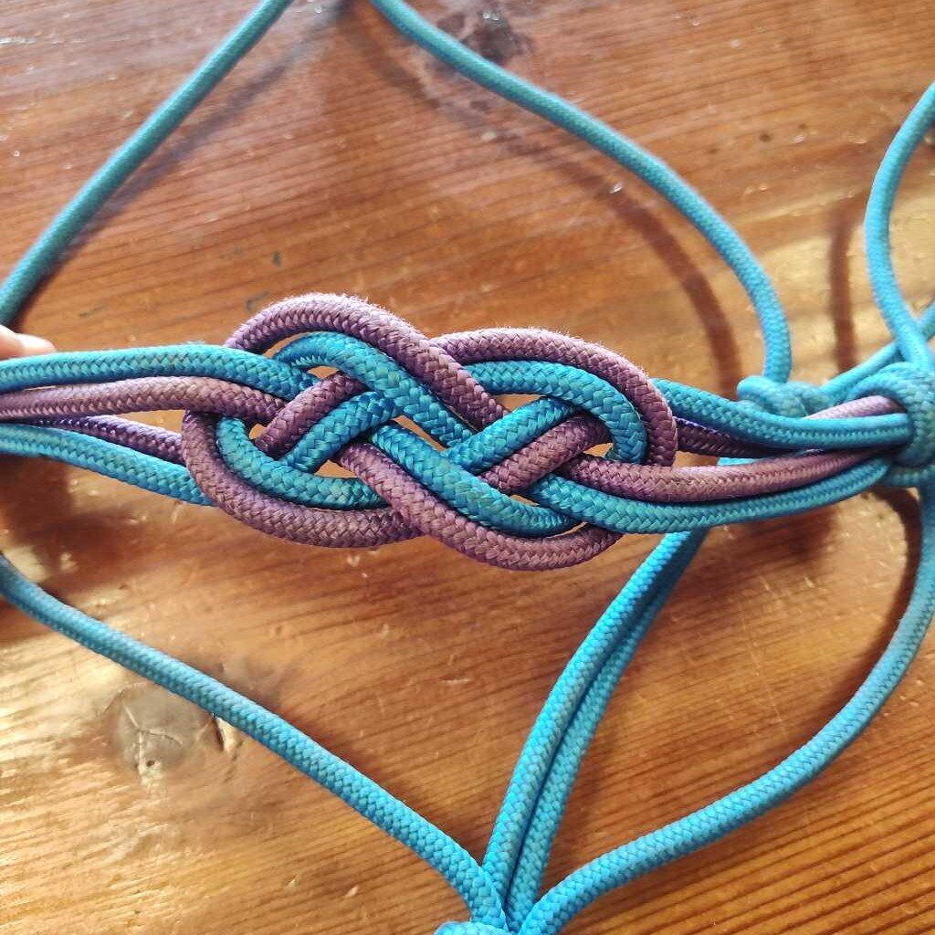 Rope halter with breakaway