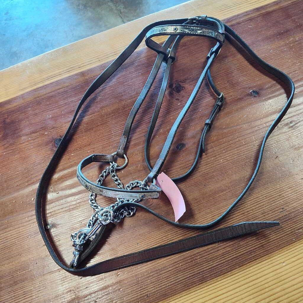 Areb/ Welsh show bridle