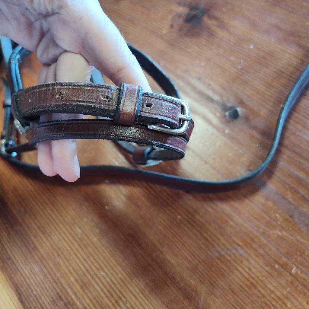 Areb/ Welsh show bridle