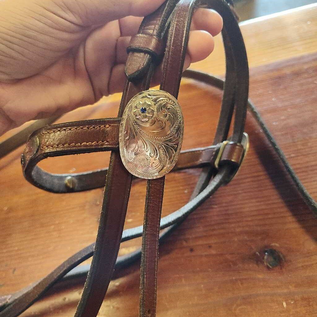 Areb/ Welsh show bridle