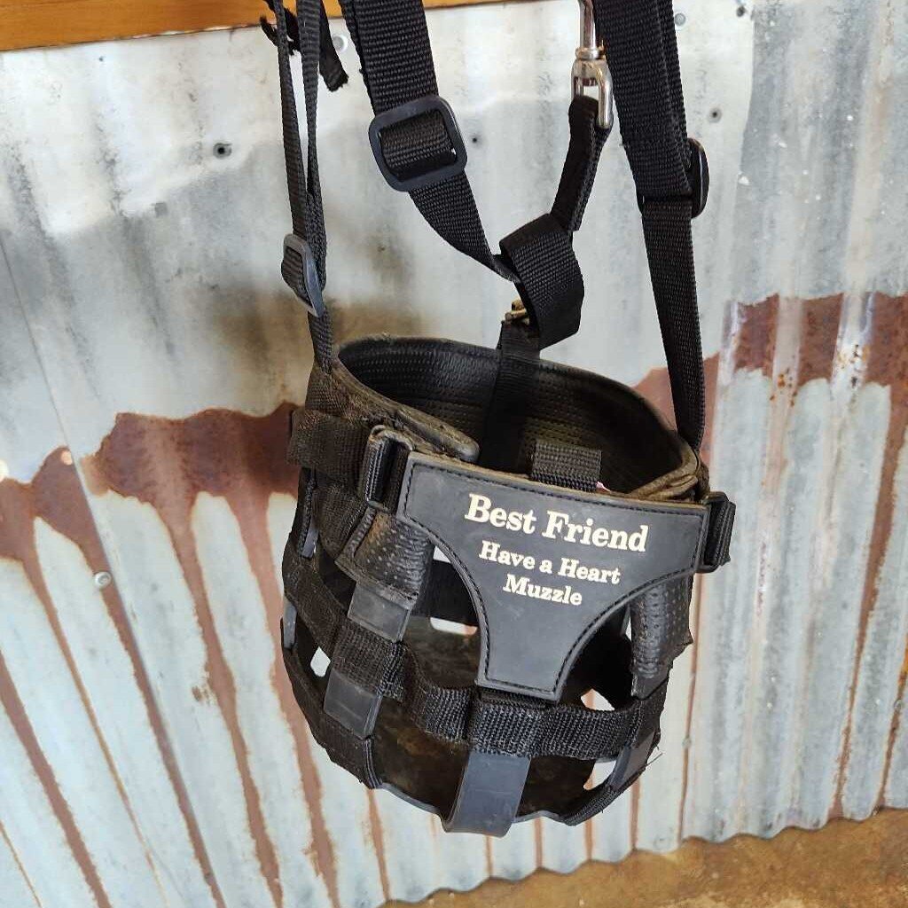 grazing Muzzle