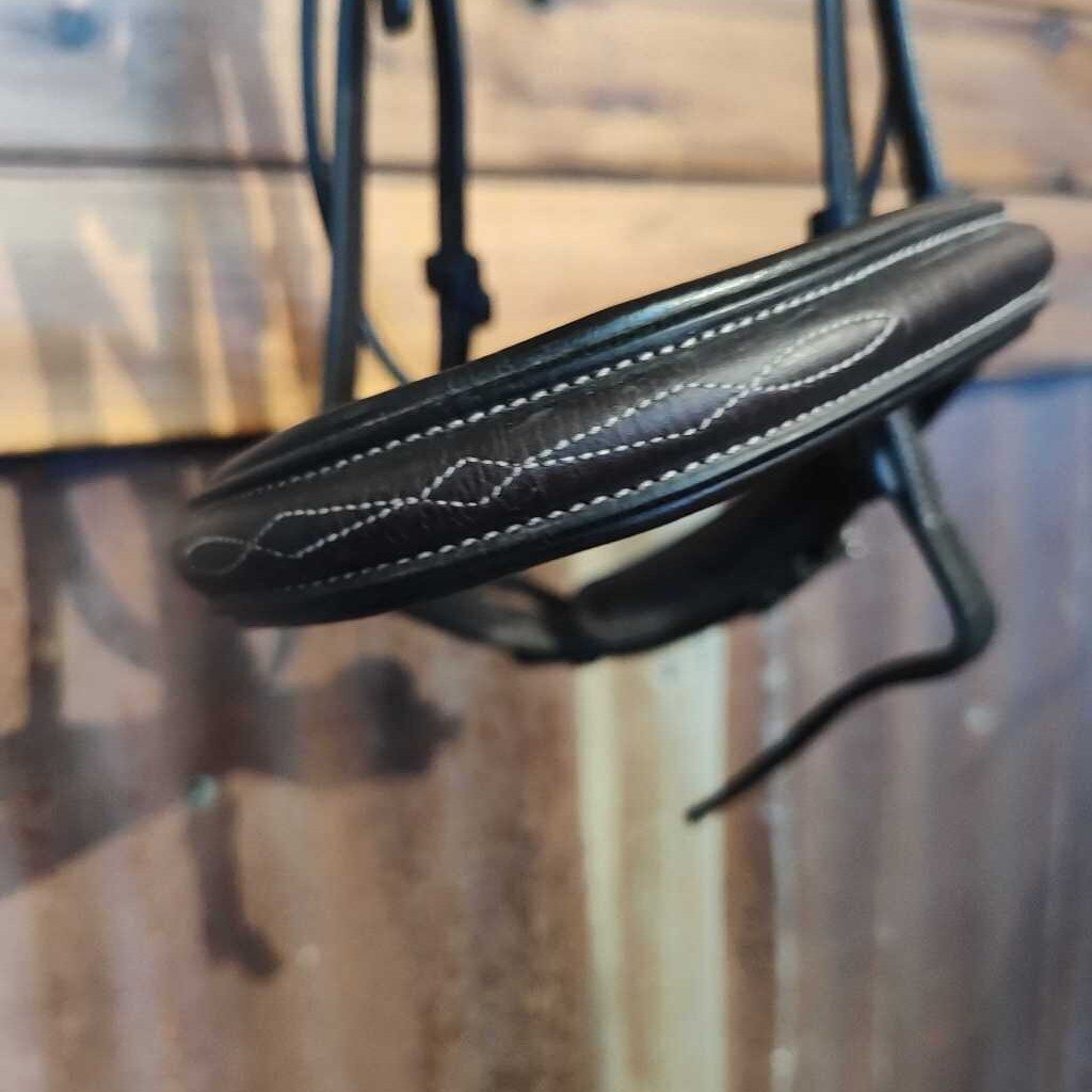 Padded raised fancy stitch